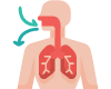 Pulmology